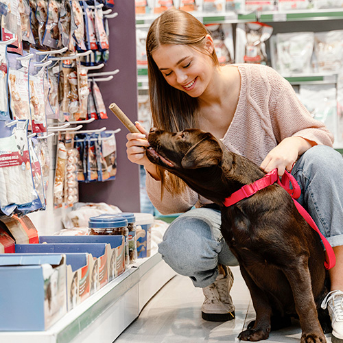 Petshops